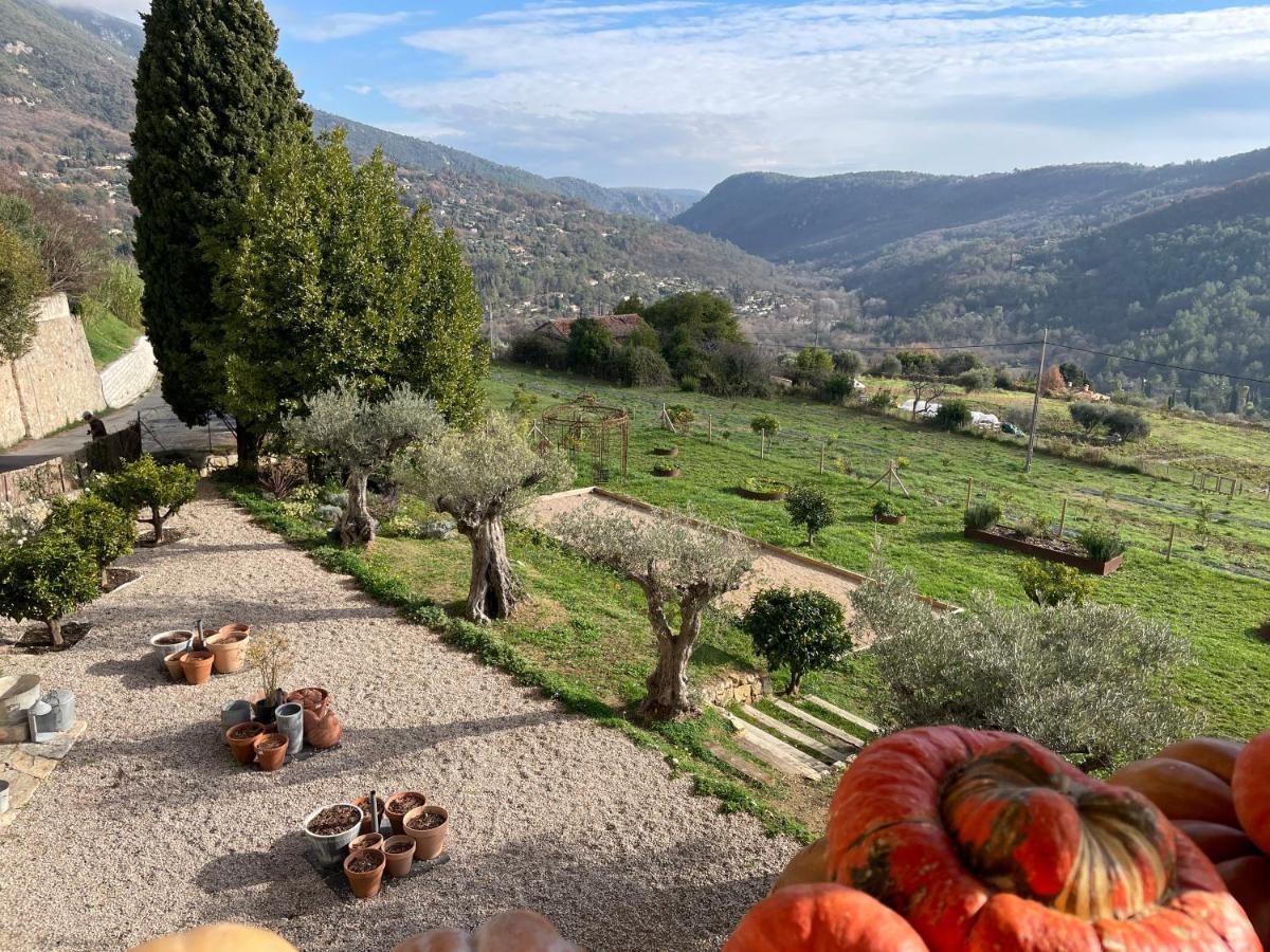 Hotel Particulier Des Jasmins Le Bar-sur-Loup Exteriér fotografie